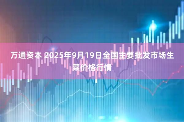 万通资本 2025年9月19日全国主要批发市场生菜价格行情