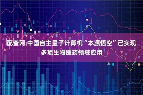 配查网 中国自主量子计算机“本源悟空”已实现多项生物医药领域应用