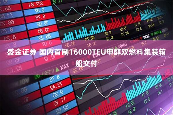 盛金证券 国内首制16000TEU甲醇双燃料集装箱船交付