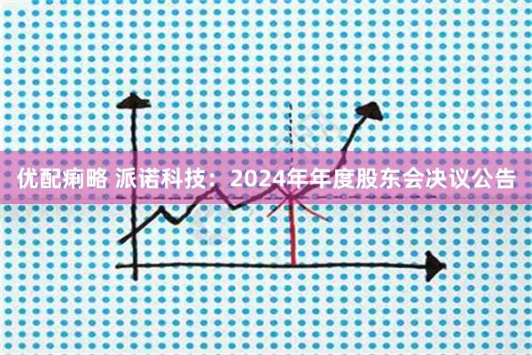 优配痢略 派诺科技：2024年年度股东会决议公告