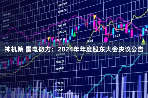 神机策 雷电微力：2024年年度股东大会决议公告