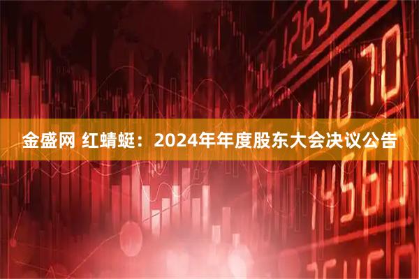 金盛网 红蜻蜓：2024年年度股东大会决议公告