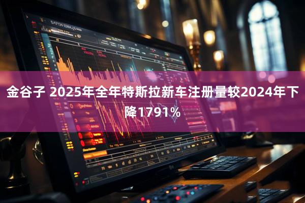 金谷子 2025年全年特斯拉新车注册量较2024年下降1791%
