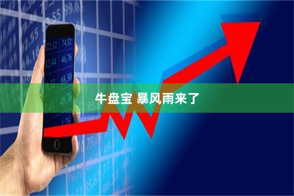 牛盘宝 暴风雨来了