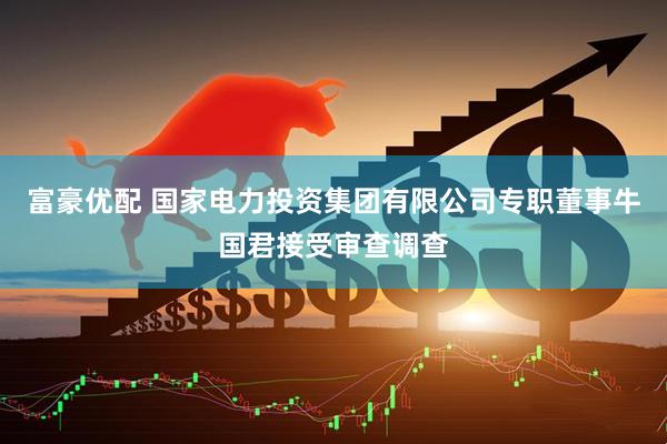 富豪优配 国家电力投资集团有限公司专职董事牛国君接受审查调查